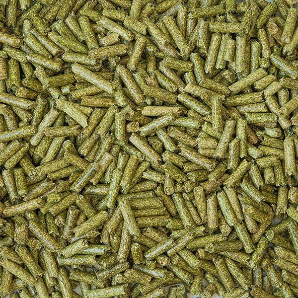 Pellet Alfalfa
