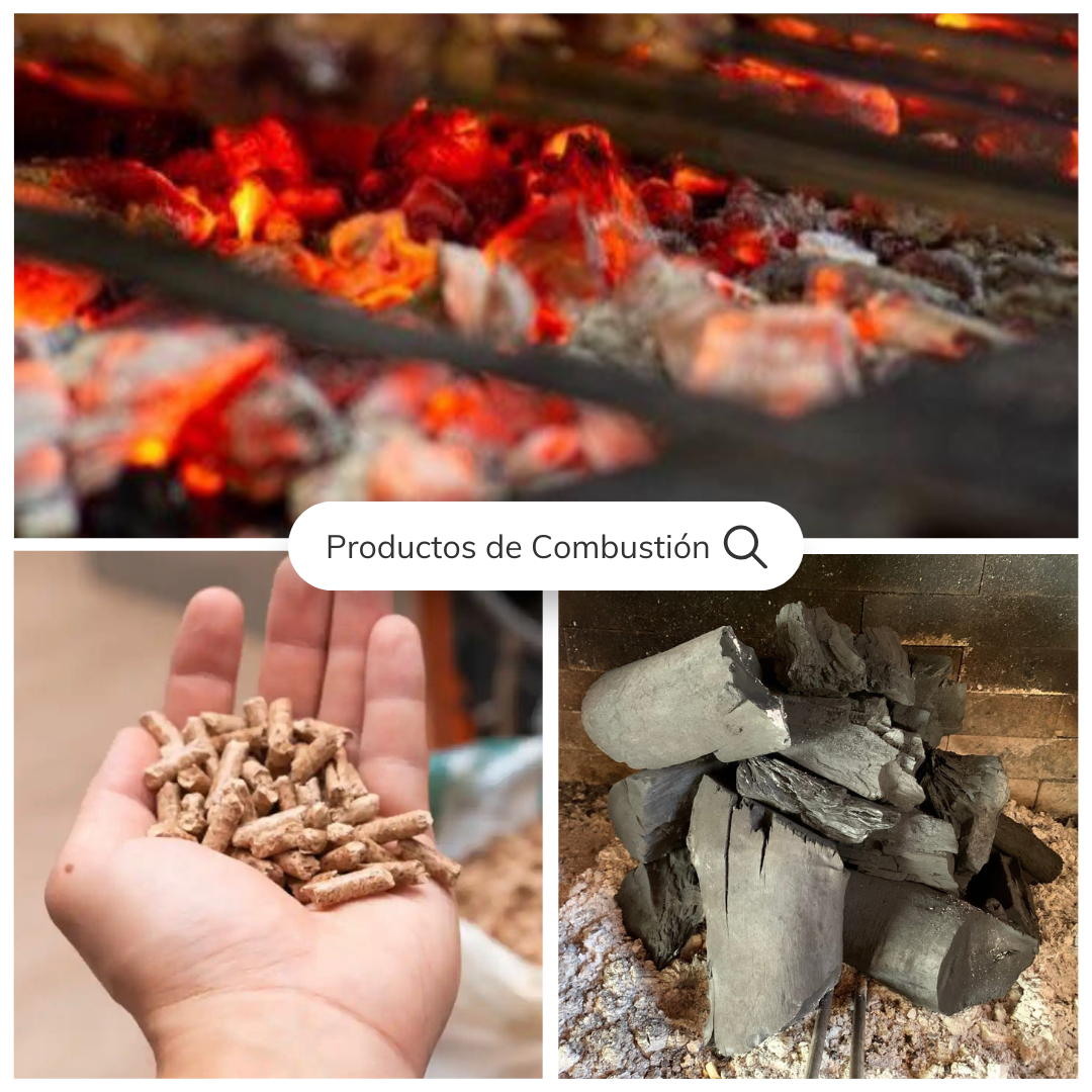 Productos de Combustión